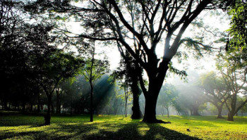 AMAZING SOUTH INDIA
