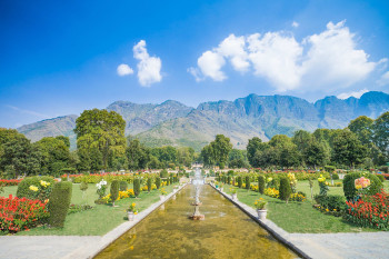 Dreamy Kashmir Vacation