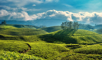 Spectacular Kerala With Varkala