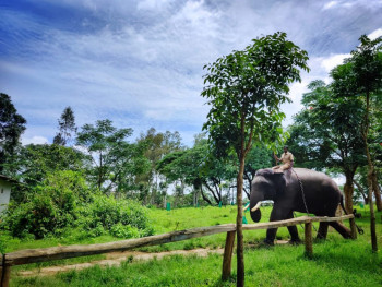 Magical South India
