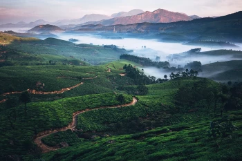 Dreamy Kerala With Varkala
