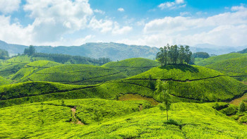 Fantastic South India