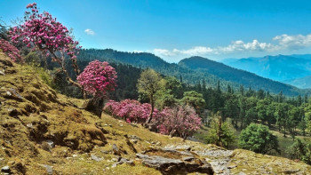 Chardham Package – 10 nights Char Dham package