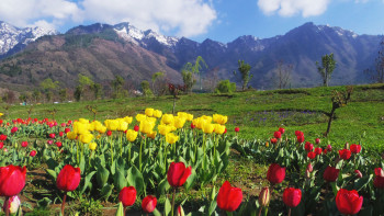 Beautiful Kashmir