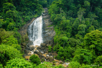 Remarkable Kerala