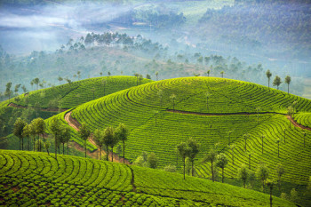 Remarkable Kerala