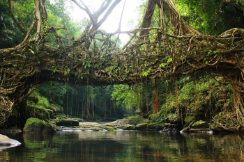Majestic Meghalaya – 4 nights North East package