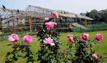 Himachal Romantic Escape