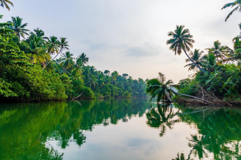 Kerala Cultural & Heritage Tour