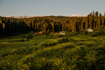 Kashmir-Amritsar Odyssey