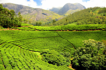 Glimpse Of Yercaud