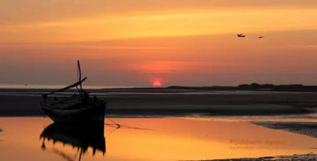 Fascinating Gujarat