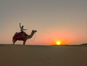 Rajasthan Regal Escape