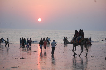 Heritage Gujarat Tour