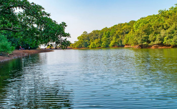 Maharashtra Serenity