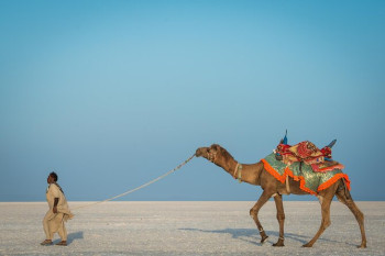 Fully Loaded Gujarat