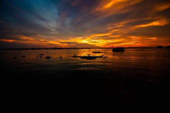 Vibrant Kerala