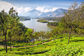 Short Trip To Munnar