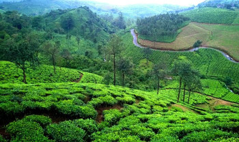 A Green Escape To Kerala With Vagamon