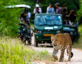Short Trip To Jawai – 2 nights Rajasthan package