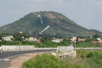 Gujarat Delights