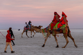 Explore Gujarat