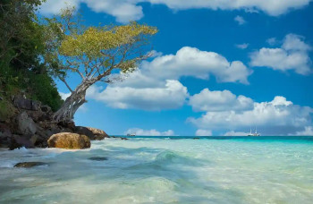 Colorful Goa With Malvan – 4 nights Goa package