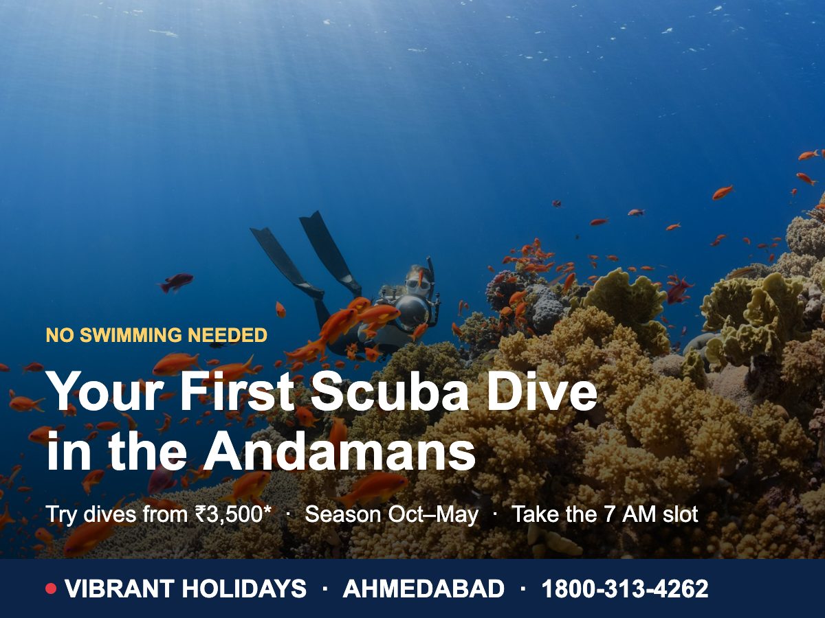 Scuba Diving In Andaman For Beginners: Cost, Sites & Tips